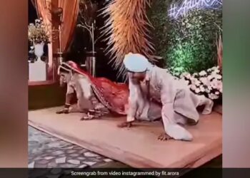 Bride And Groom Do Pushups Together On Stage At Wedding People Said Strongest Fittest Couple – फिटनेस कोच दुल्हन ने स्टेज पर दूल्हे के साथ किए Push Ups, लोग बोले- सबसे मजबूत जोड़ी