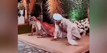 Bride And Groom Do Pushups Together On Stage At Wedding People Said Strongest Fittest Couple – फिटनेस कोच दुल्हन ने स्टेज पर दूल्हे के साथ किए Push Ups, लोग बोले- सबसे मजबूत जोड़ी