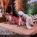 Bride And Groom Do Pushups Together On Stage At Wedding People Said Strongest Fittest Couple – फिटनेस कोच दुल्हन ने स्टेज पर दूल्हे के साथ किए Push Ups, लोग बोले- सबसे मजबूत जोड़ी