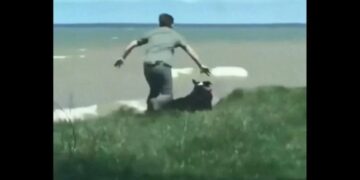 Man Saving His Dog Life People Say He Is Superstar Video Viral – कुत्ता को बचाने के लिए इस शख्स ने लगा दी अपन जान की बाजी, लोगों ने कहा