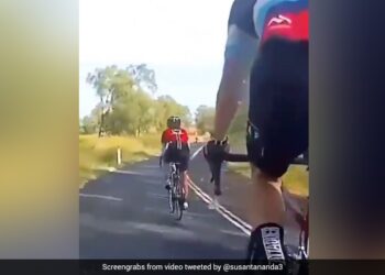 When Kangaroo Attacks Rider On The Road Watch Video Here