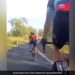 When Kangaroo Attacks Rider On The Road Watch Video Here