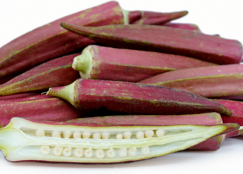 Red Ladyfinger Vegetable Is Very Useful To Us Know The More Details