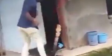 King Cobra Attack On Man See How Not To Catch A Snake Especially A 14 Foot King Cobra Shocking Video Goes Viral – सांप को पकड़ने की कोशिश कर रहा था शख्स, जैसे ही पकड़ी पूंछ बाहर निकला King Cobra, फिर जो हुआ वो देख सहम जाएंगे आप
