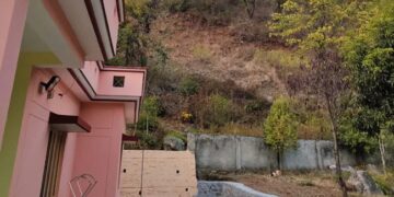 Optical Illusion Can You Spot The Leopard In This Viral Photo Shared By Ifs Officer