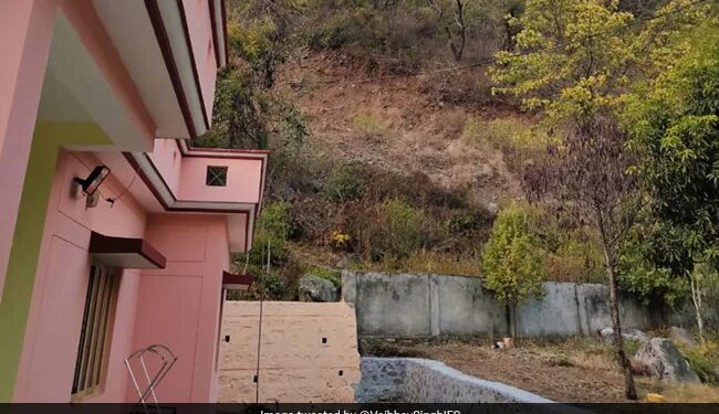 Optical Illusion Can You Spot The Leopard In This Viral Photo Shared By Ifs Officer