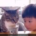 Cat Drinking Water Kid Intently Looks At Her Video Ends With A Sweet Surprise See Viral Video – बिल्ली बिना रुके पी रही थी ग्लास में भरा पानी, बच्चा ध्यान से देख रहा था, तभी बिल्ली ने बच्चे के साथ कर दी ये हरकत