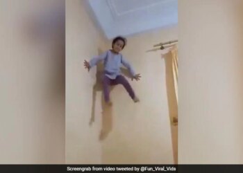 Girl Climbs Up Wall Like Spider Man People Amazed To See It Watch Viral Video – Spider Man की तरह दीवार पर चढ़ जाती है ये बच्ची, बिना डरे करती है खतरनाक स्टंट, लोग बोले