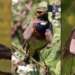 Birds With Hand Video Went Viral On All Social Media Platforms