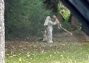 Woman Dressed As Nun Dances With Human And Dog Skeletons Next To Graveyard Know The More Details