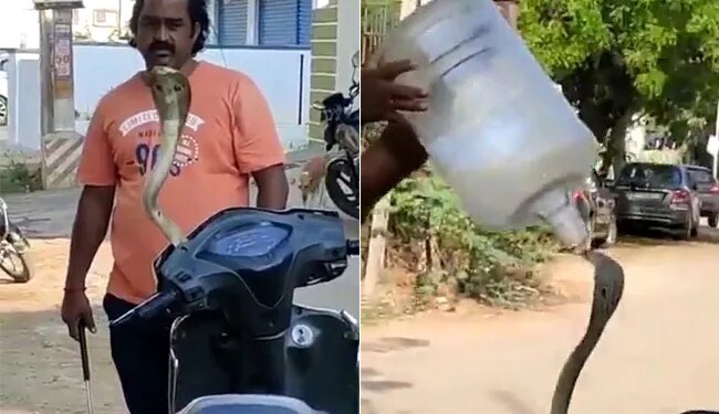 Cobra Was Hidden In The Scooty Man Did Jugaad To Rescue Of A Snake Watch Hair Raising Video
