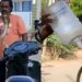 Cobra Was Hidden In The Scooty Man Did Jugaad To Rescue Of A Snake Watch Hair Raising Video