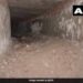 A Tunnel-like Structure Discovered At The Delhi Legislative Assembly. It Connects To The Red Fort