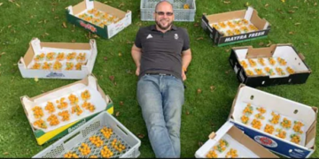 British Gardner Sets World Record By Growing 839 Tomatoes From Single Stem