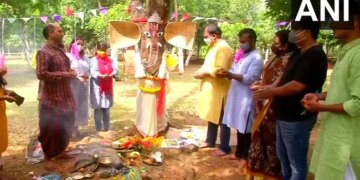 Ganesh Chaturthi 2021 Eco Friendly Ganpati Worshipped A Tree In The Form Of Lord Ganesha For The 10 Day Ganesh Chaturthi Festival In Bhubaneswar