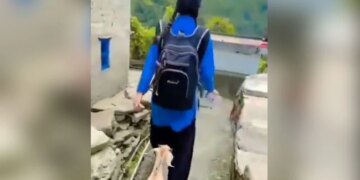 Girl Going To School As Goat Follows Her Internet Loves It See Adorable Viral Video