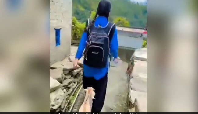 Girl Going To School As Goat Follows Her Internet Loves It See Adorable Viral Video