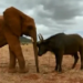 Elephant Plays With Buffalo Friend In This Super Sweet Video – एक हाथी और भैंस के इस वीडियो को देखने के बाद आप भी कहेंगे