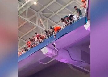 Football Fan Saved Cats Life Video Went Viral On Social Media – फुटबॉल मैच देख रहे लोगों ने गिरते बिल्ली की जान बचाई, लोगों ने कहा