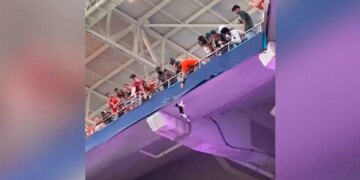 Football Fan Saved Cats Life Video Went Viral On Social Media – फुटबॉल मैच देख रहे लोगों ने गिरते बिल्ली की जान बचाई, लोगों ने कहा