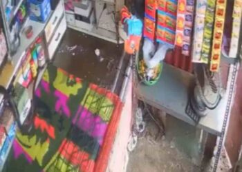 Viral Video Of King Cobra Went Trending On Social Media – दुकान में बैठा था लड़का, तभी ऊपर से आ गिरा कोबरा, लोगों ने कहा