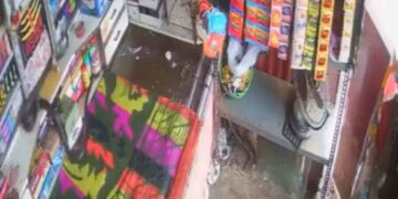 Viral Video Of King Cobra Went Trending On Social Media – दुकान में बैठा था लड़का, तभी ऊपर से आ गिरा कोबरा, लोगों ने कहा