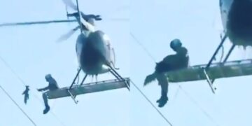 A Man Rescued To A Bird From Electricity Wire Video Went Viral – एक पक्षी को बचाने के लिए इस इंसान ने लगा दी अपनी जान, लोगों ने कहा