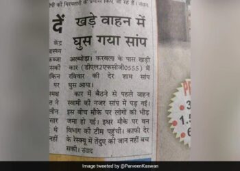 Newspaper Clip Goes Viral Snake Entered The Car And Came Out As A Leopard Ifs Says The Biggest Twist – सांप कार में घुस गया, फिर तेंदुआ बनकर निकला बाहर, लोग बोले