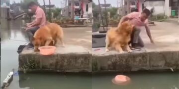 A Dog Saved Fish Life Video Went Viral On Social Media – मछली को ज़िंदा बचाने के लिए लिए अपने मालिक से भिड़ गया ये कुत्ता, वीडियो देख लोगों ने कहा