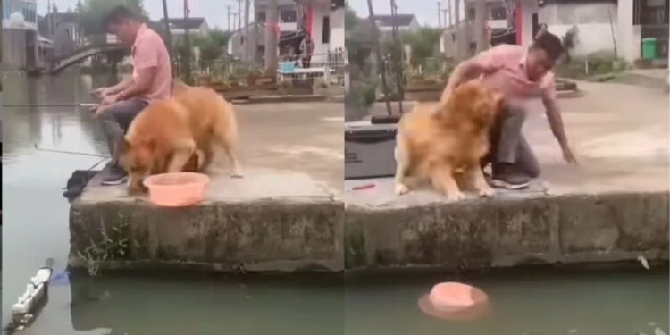 A Dog Saved Fish Life Video Went Viral On Social Media – मछली को ज़िंदा बचाने के लिए लिए अपने मालिक से भिड़ गया ये कुत्ता, वीडियो देख लोगों ने कहा