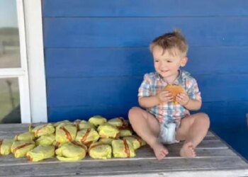 Two Years Old Baby Boy Ordered 31 Cheeseburgers From Mother Mobile And Give 1200 Rupees Tip