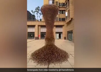 होठों की खूबसूरती बढ़ाने वाली लिपस्टिक का सोशल मीडिया पर छाया एक अनोखा वीडियो