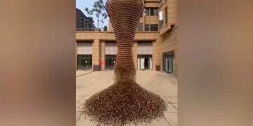 होठों की खूबसूरती बढ़ाने वाली लिपस्टिक का सोशल मीडिया पर छाया एक अनोखा वीडियो