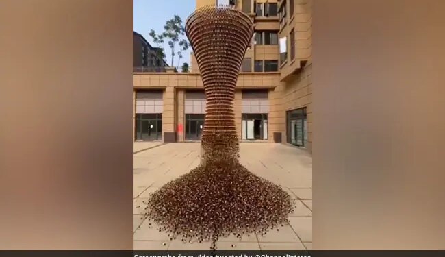 होठों की खूबसूरती बढ़ाने वाली लिपस्टिक का सोशल मीडिया पर छाया एक अनोखा वीडियो