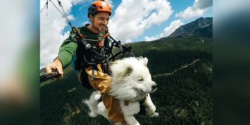 Watch Video: Man Paragliding With Pet Dog Cutest Video To Watch Interesting Video Wins Hearts