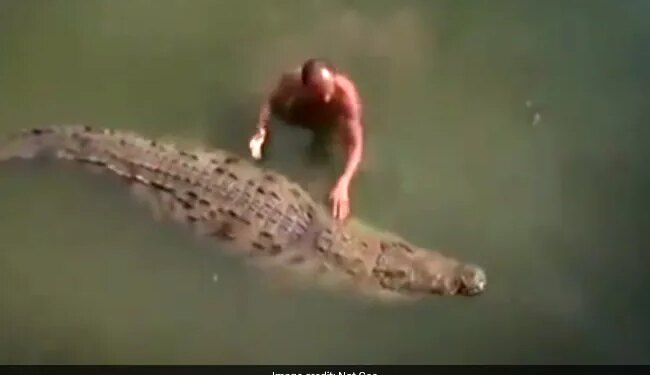 Man Saved His Life By Wrestling With Crocodile, People Said – Courageous Man – मगरमच्छ से कुश्ती लड़कर शख्स ने बचाई अपनी जान, लोगों ने कहा