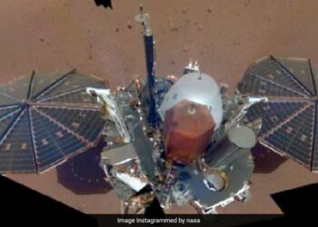 Nasa Shares InSight Mars Lander Final Selfie Post Goes Viral