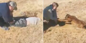 Man Saved The Life Of A Cow Calf By Entering A Narrow Pit Netizens Saluted Humanity After Watching The Video