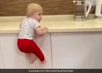 Twitter Viral Video Of Toddler Climbing On Cupboards – इस बच्चे का कारनामा देख आप भी कहेंगे