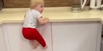 Twitter Viral Video Of Toddler Climbing On Cupboards – इस बच्चे का कारनामा देख आप भी कहेंगे