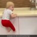 Twitter Viral Video Of Toddler Climbing On Cupboards – इस बच्चे का कारनामा देख आप भी कहेंगे