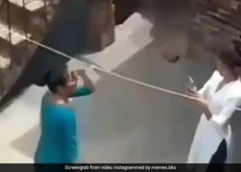Girl Secretly Making Dance Video On The Terrace Suddenly She Saw Such Thing Then What Happened Next See Funny Viral Video