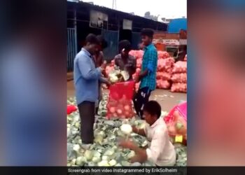 Man Cutting Cabbage At Lightning Speed Internet Amazed To See It In Viral Video – शख्स ने बिजली की रफ्तार से काटी पत्ता गोभी, देखकर चकराया लोगों का सिर, बोले इंसान है या रोबोट
