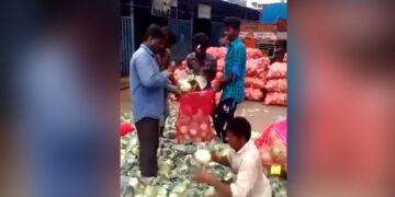 Man Cutting Cabbage At Lightning Speed Internet Amazed To See It In Viral Video – शख्स ने बिजली की रफ्तार से काटी पत्ता गोभी, देखकर चकराया लोगों का सिर, बोले इंसान है या रोबोट
