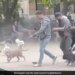 Watch: Dog Was Chasing Rat And People Helped Him Video Will Shock You | A Rat Surrounded By Many Dogs In A Park Of Newyork Video Viral In Internet
