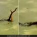 King Cobra Naag Nagin Romance Snakes Were Seen Wrapped Around Each Other Love Making Caught On Camera Shocking Video Viral