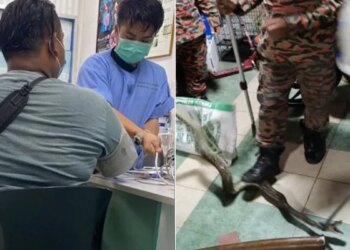 Was Playing VIDEO Game Sitting In The Toilet, Snake Bitten From Behind, Pieces Of Snakes Teeth Came Out After Two Weeks