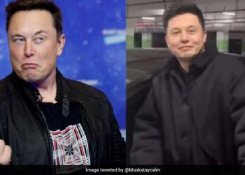 Tesla Ceo Elon Musk Wants To Meet Chinese Lookalike