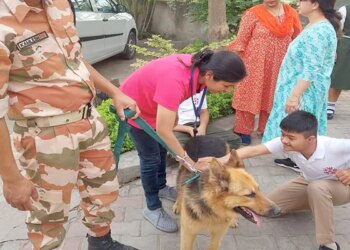 ITBP Unique Initiative Retired Dogs Will Now Do This Work For Children Will Go To Hospital Every Week