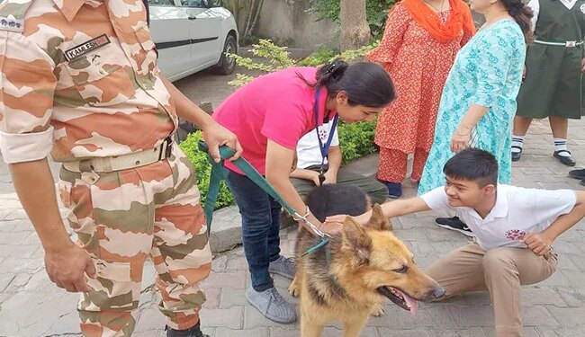 ITBP Unique Initiative Retired Dogs Will Now Do This Work For Children Will Go To Hospital Every Week